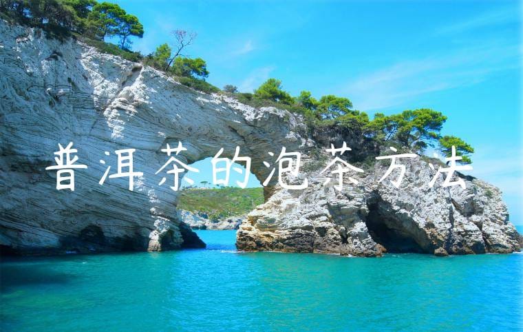 普洱茶的泡茶方法