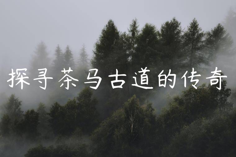 探寻茶马古道的传奇