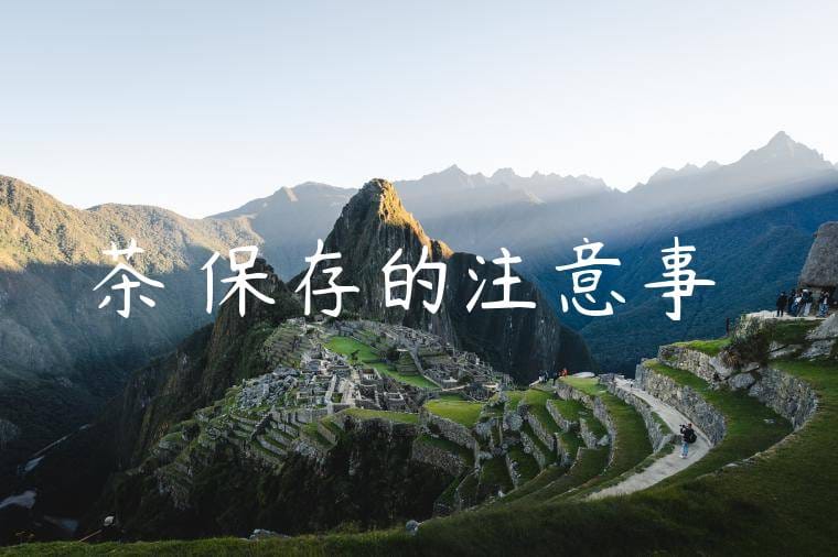 茶葉保存的注意事項