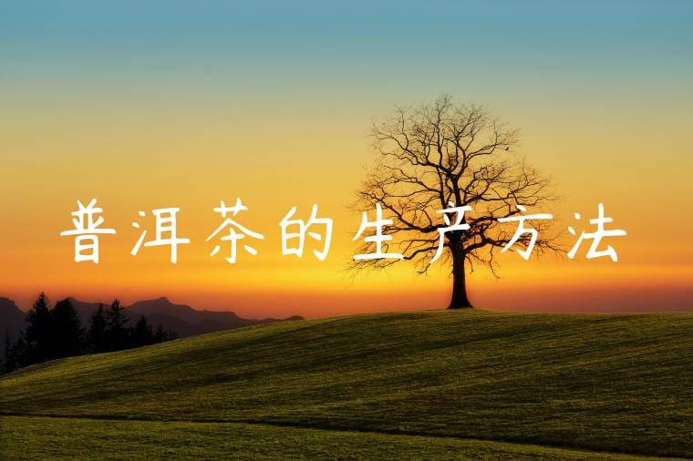 普洱茶的生产方法