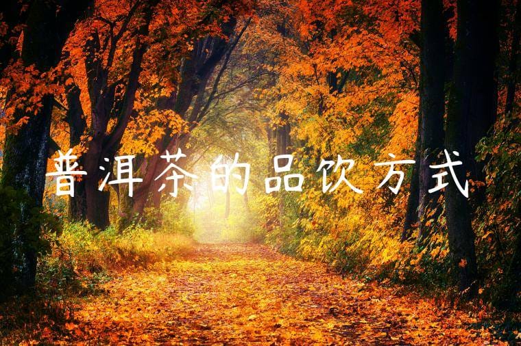 普洱茶的品饮方式