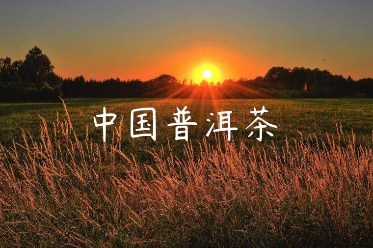 中国普洱茶