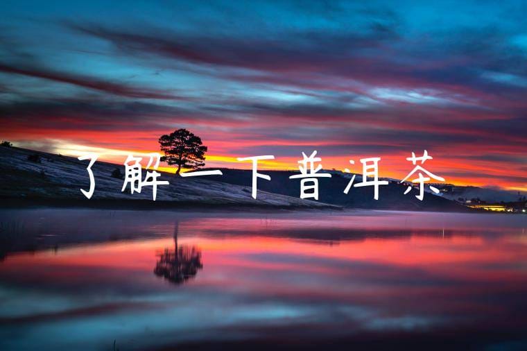 了解一下普洱茶