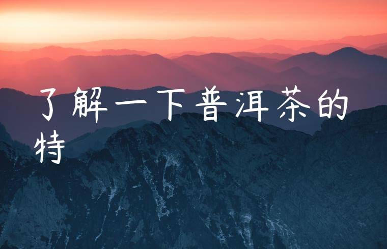 了解一下普洱茶的特點