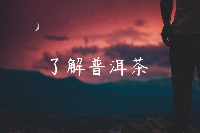 了解普洱茶