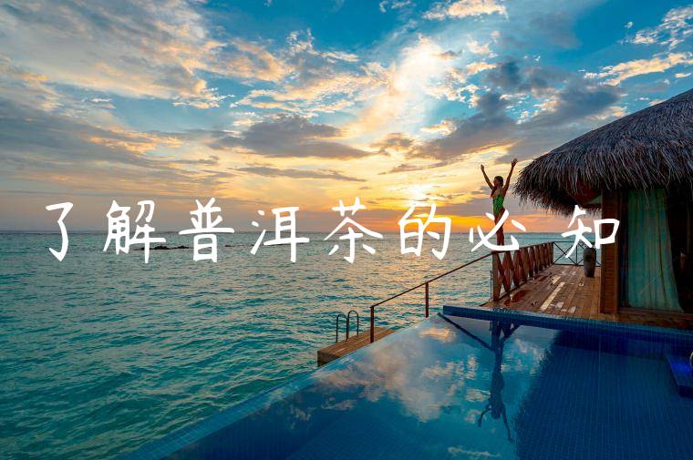 了解普洱茶的必備知識