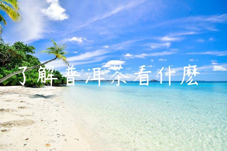 了解普洱茶看什麽書