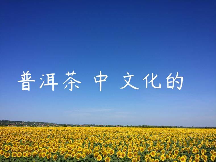 普洱茶與中國文化的關係