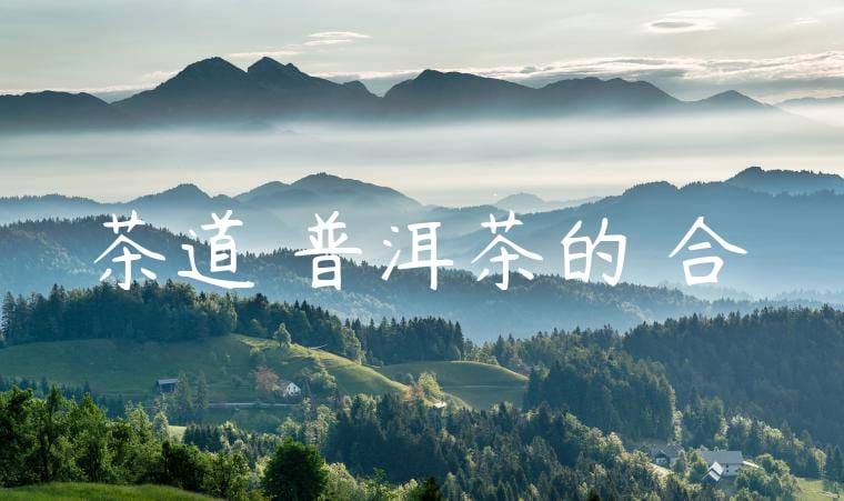 茶道與普洱茶的結合