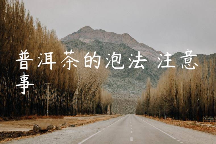 普洱茶的泡法與注意事項