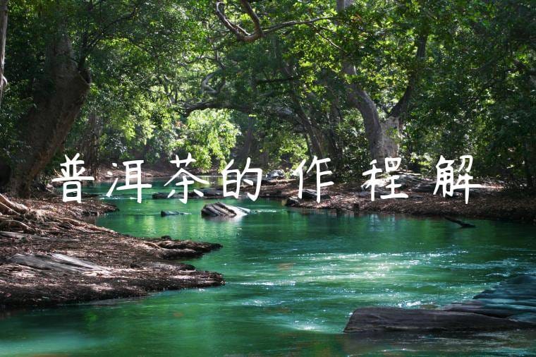 普洱茶的製作過程詳解 普洱茶的製作過程詳解