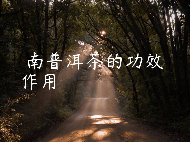 雲南普洱茶的功效與作用