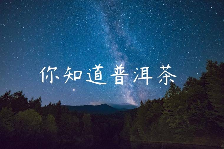 你知道普洱茶嗎