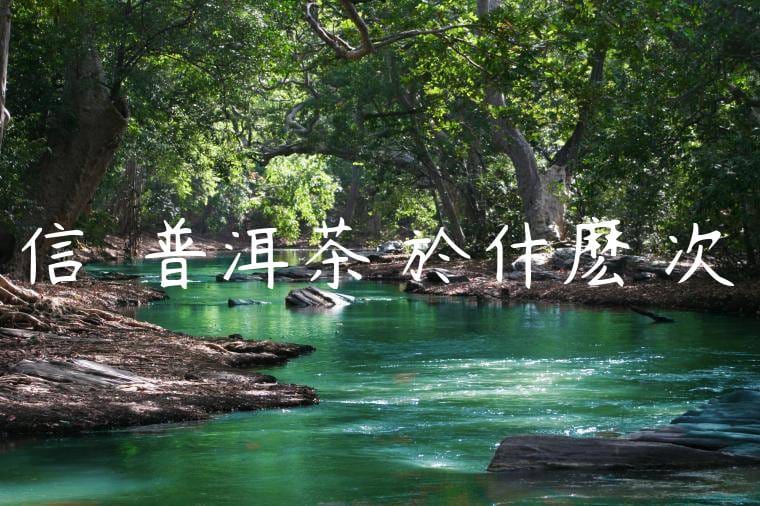 信記號普洱茶屬於什麽檔次