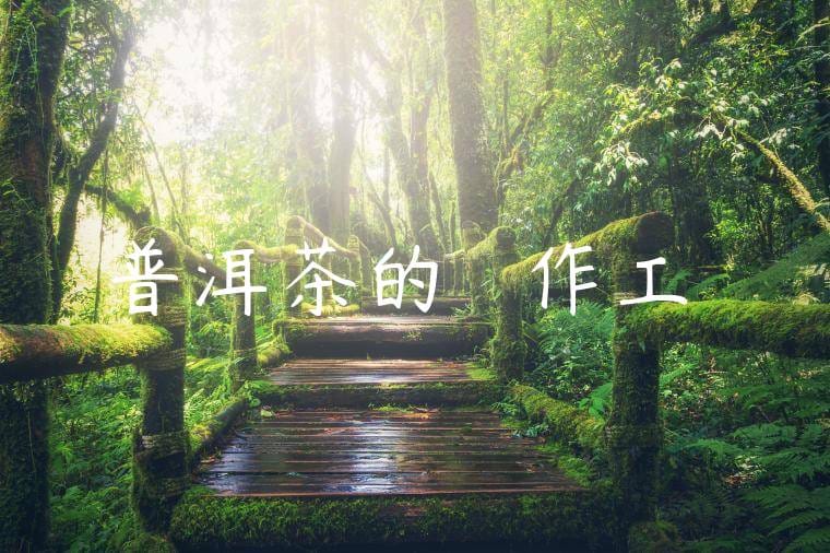 普洱茶的傳統製作工藝