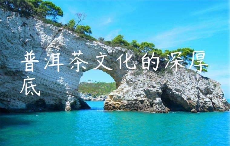 普洱茶文化的深厚底蘊