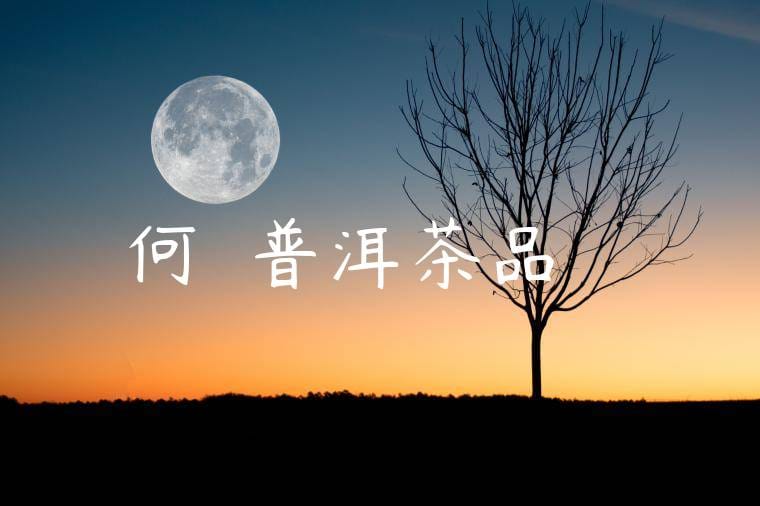 何榮號普洱茶品質標準