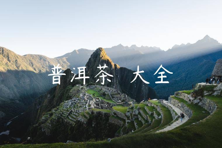 普洱茶種類大全