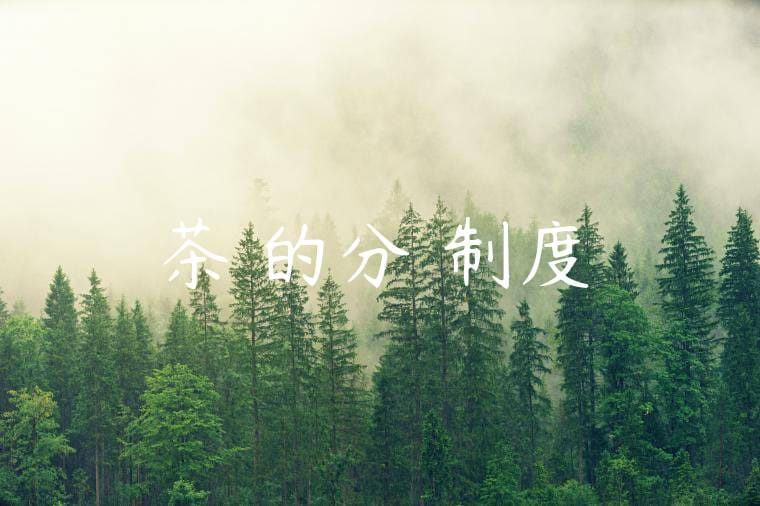茶葉的分級制度