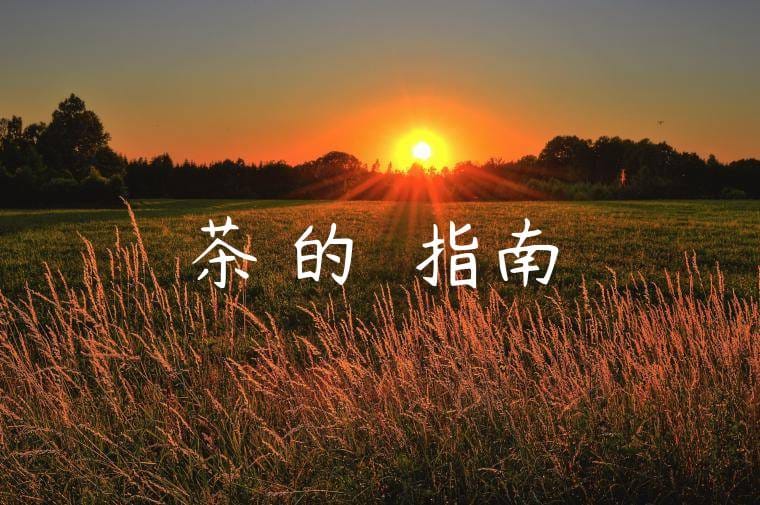 茶葉的選購指南