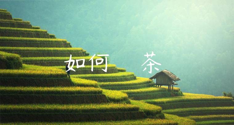 如何選擇優質茶葉