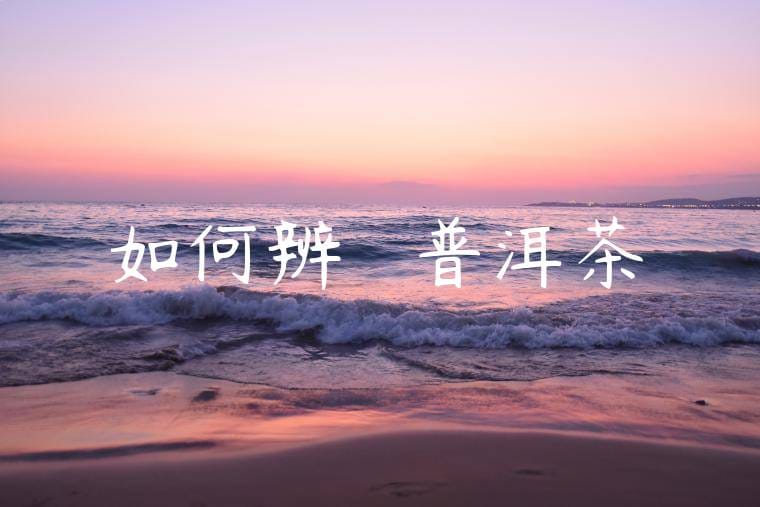 如何辨別優質普洱茶
