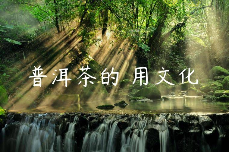 普洱茶的飲用文化
