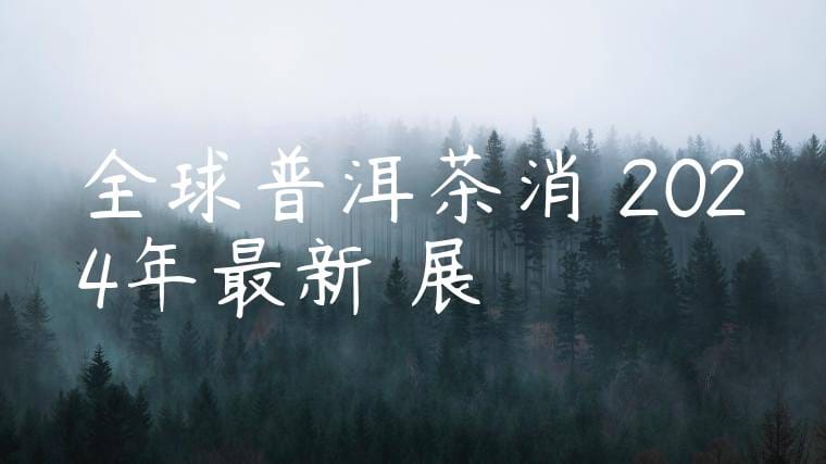 全球普洱茶消費2024年最新進展