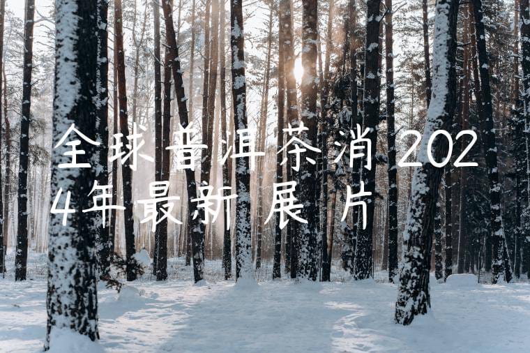 全球普洱茶消費2024年最新進展圖片