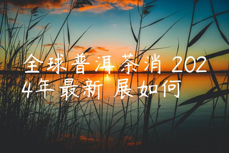 全球普洱茶消費2024年最新進展如何
