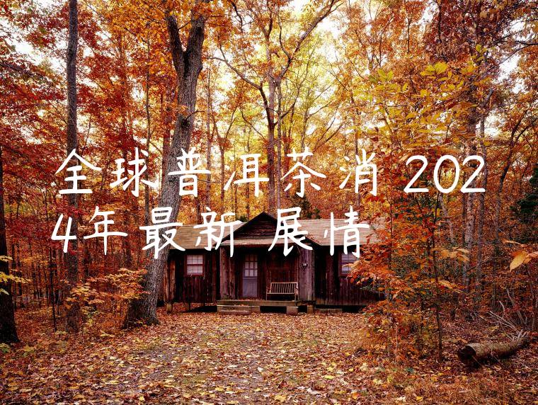 全球普洱茶消費2024年最新進展情況