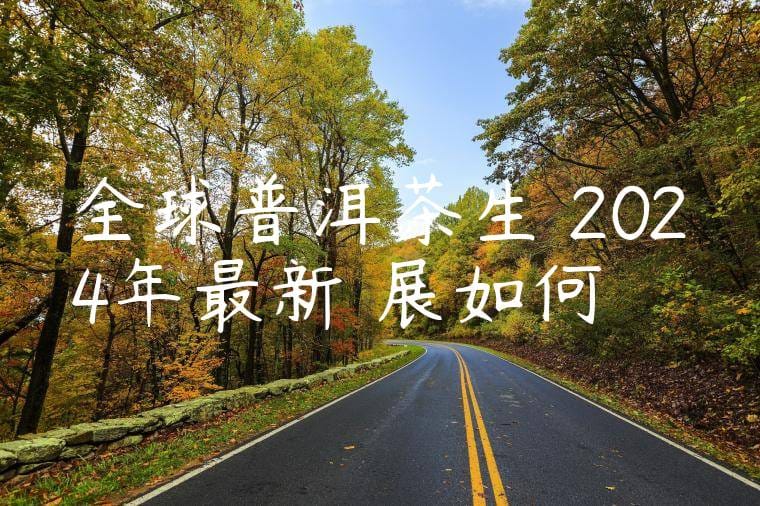 全球普洱茶生產2024年最新進展如何