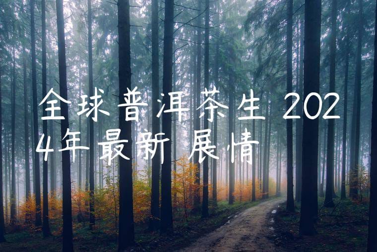 全球普洱茶生產2024年最新進展情況