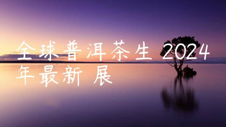 全球普洱茶生產2024年最新進展視頻