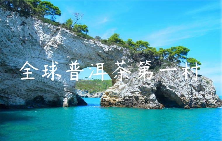 全球普洱茶第一村