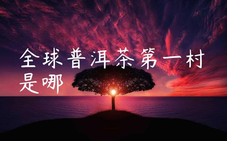 全球普洱茶第一村是哪裏