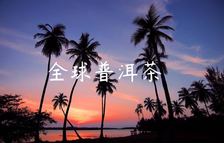 全球普洱茶論壇
