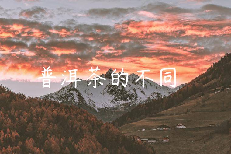 普洱茶的不同種類
