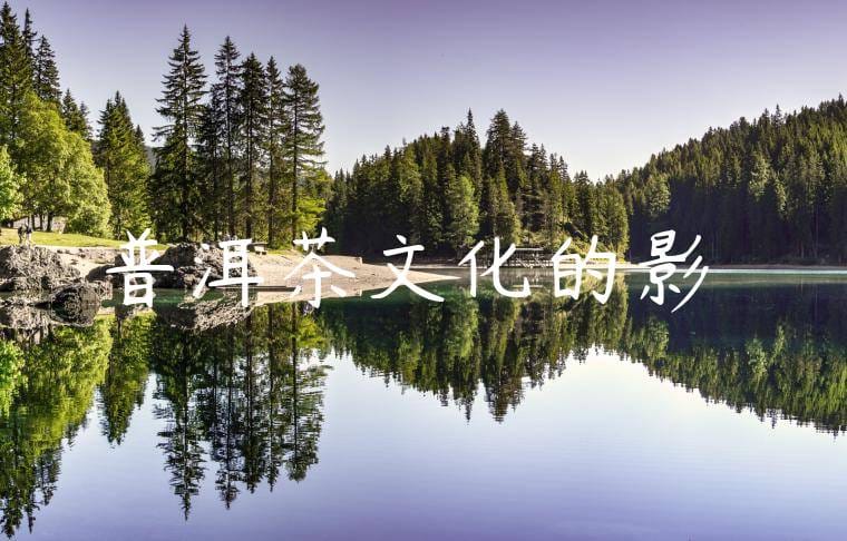 普洱茶文化的影響