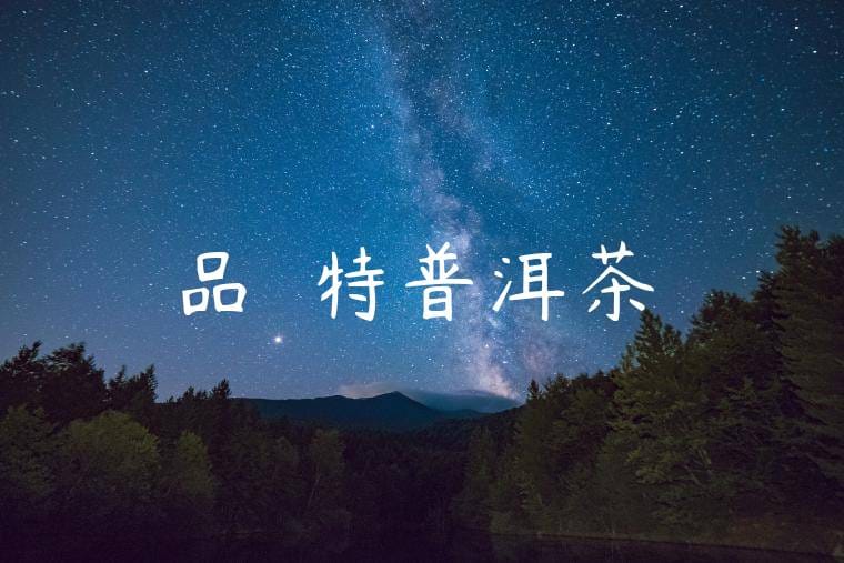 品嚐獨特普洱茶