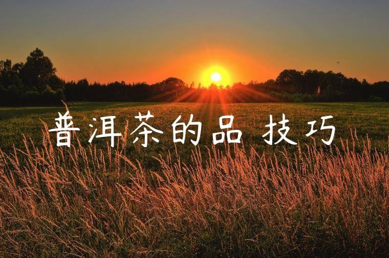 普洱茶的品鑑技巧 普洱茶的品鑑技巧