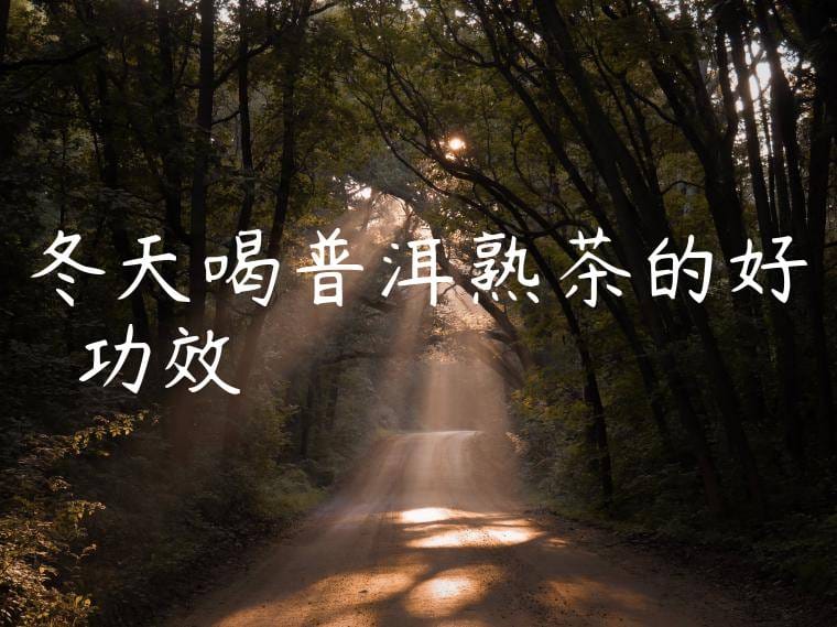 冬天喝普洱熟茶的好處與功效