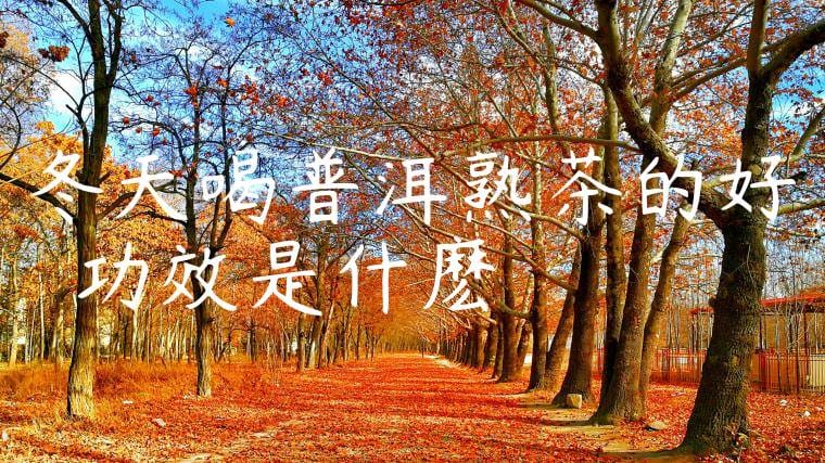 冬天喝普洱熟茶的好處與功效是什麽