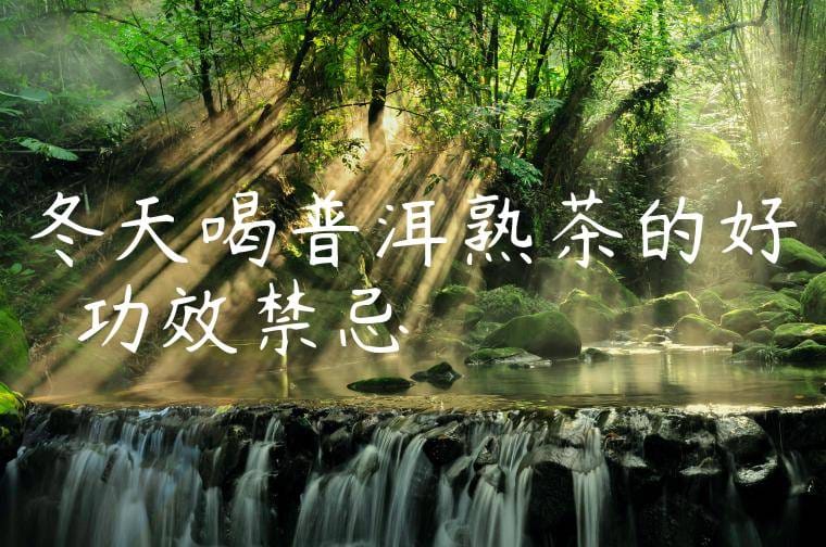 冬天喝普洱熟茶的好處與功效禁忌