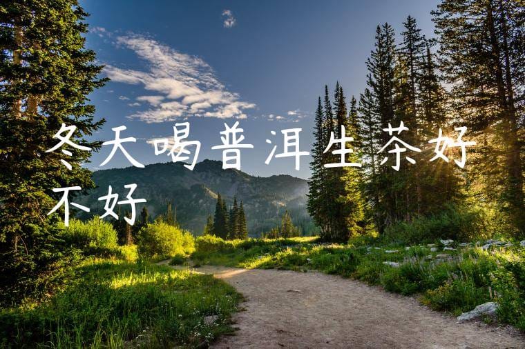 冬天喝普洱生茶好不好
