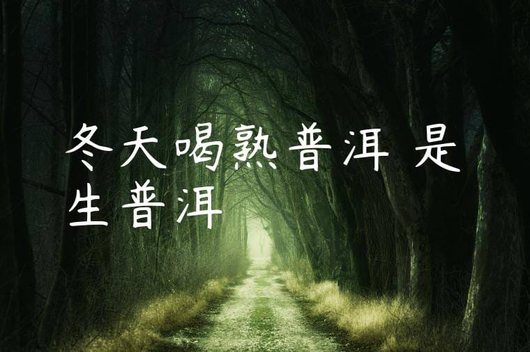 冬天喝熟普洱還是生普洱