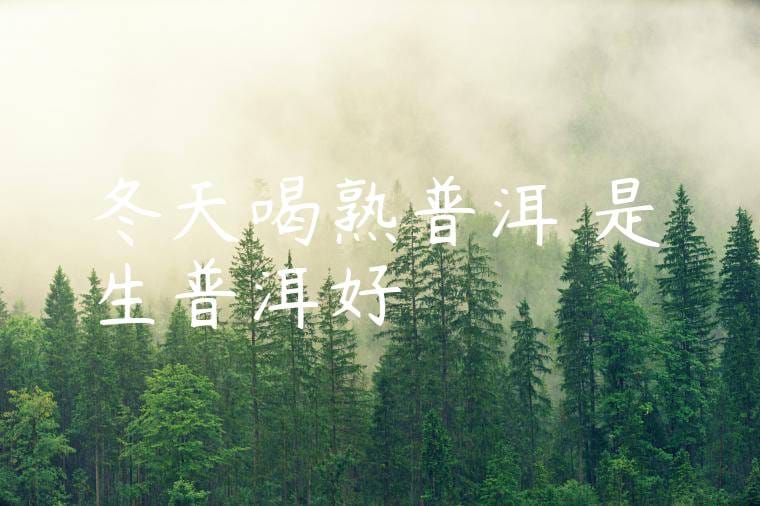 冬天喝熟普洱還是生普洱好