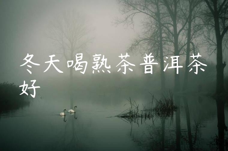 冬天喝熟茶普洱茶好嗎
