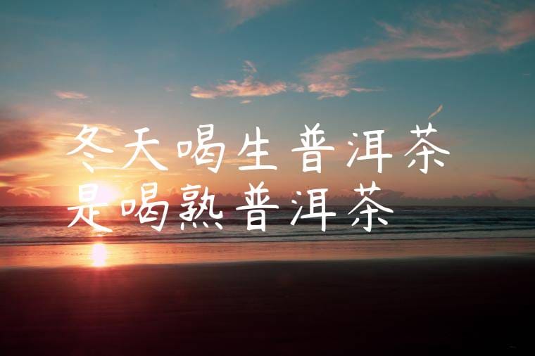 冬天喝生普洱茶還是喝熟普洱茶