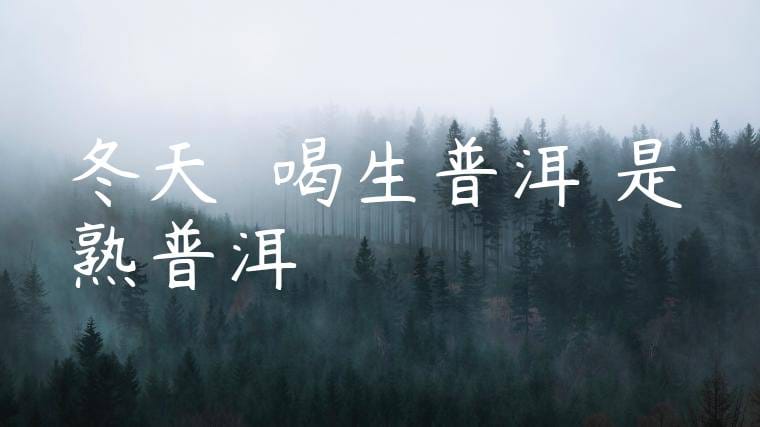 冬天應該喝生普洱還是熟普洱